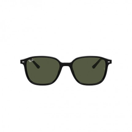 Ray-Ban RB2193