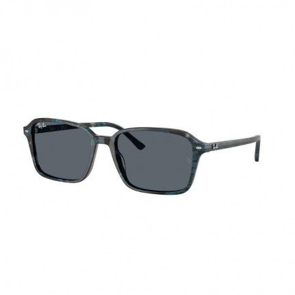 Ray-Ban RB2231