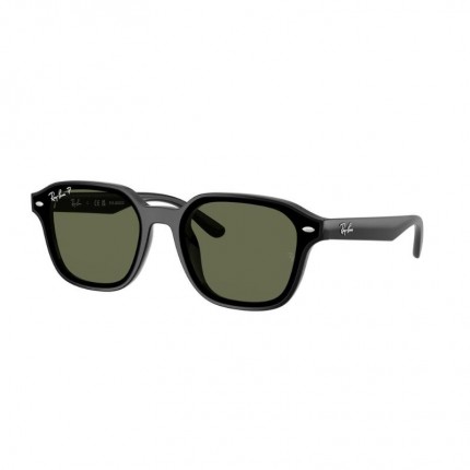 Ray-Ban RB4458D