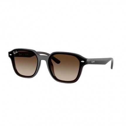 Ray-Ban RB4458D